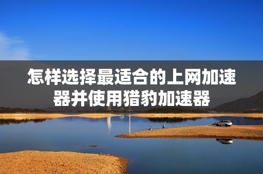 怎样选择最适合的上网加速器并使用猎豹加速器
