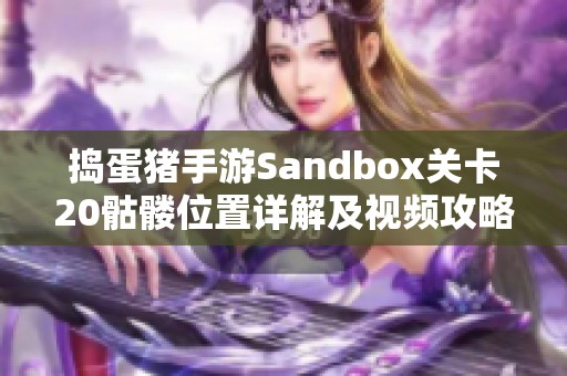捣蛋猪手游Sandbox关卡20骷髅位置详解及视频攻略分享