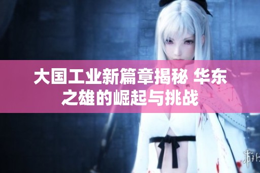 大国工业新篇章揭秘 华东之雄的崛起与挑战