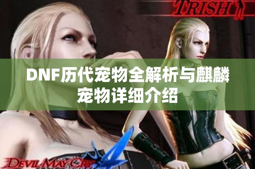 DNF历代宠物全解析与麒麟宠物详细介绍