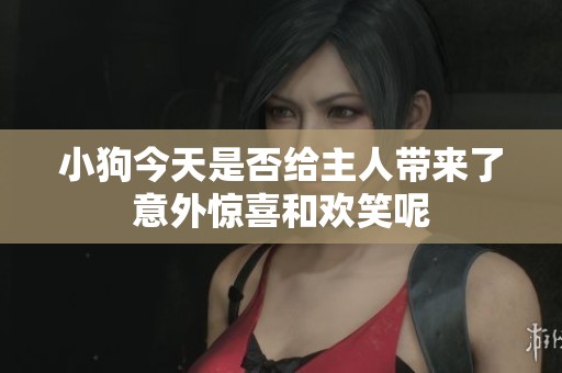 小狗今天是否给主人带来了意外惊喜和欢笑呢