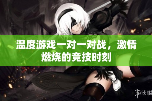 温度游戏一对一对战，激情燃烧的竞技时刻