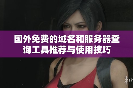 国外免费的域名和服务器查询工具推荐与使用技巧