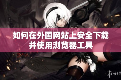 如何在外国网站上安全下载并使用浏览器工具