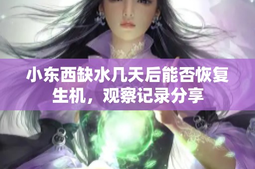 小东西缺水几天后能否恢复生机，观察记录分享