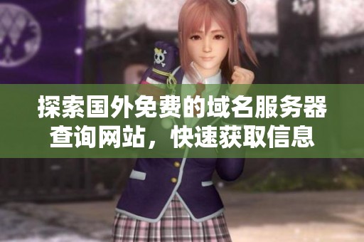 探索国外免费的域名服务器查询网站，快速获取信息