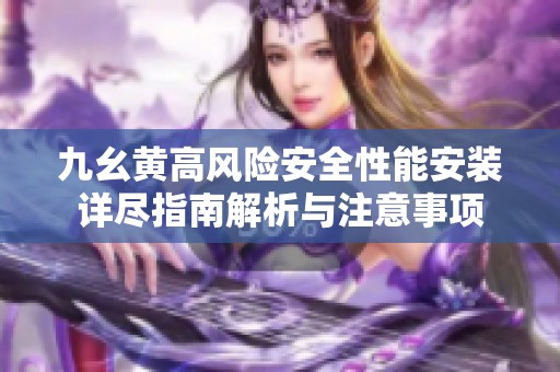 九幺黄高风险安全性能安装详尽指南解析与注意事项
