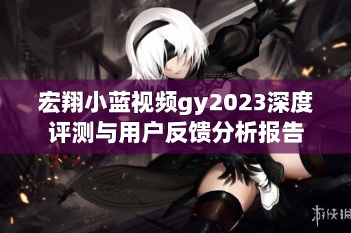宏翔小蓝视频gy2023深度评测与用户反馈分析报告