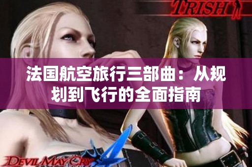 法国航空旅行三部曲：从规划到飞行的全面指南