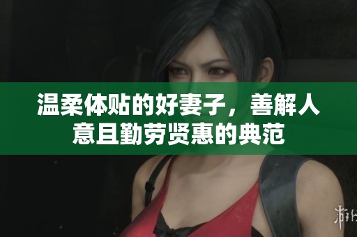 温柔体贴的好妻子，善解人意且勤劳贤惠的典范