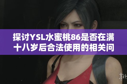 探讨YSL水蜜桃86是否在满十八岁后合法使用的相关问题