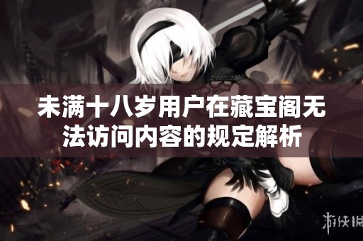 未满十八岁用户在藏宝阁无法访问内容的规定解析