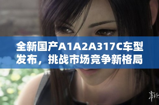 全新国产A1A2A317C车型发布，挑战市场竞争新格局