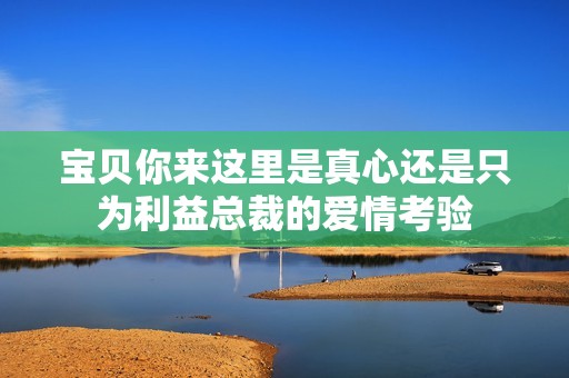 宝贝你来这里是真心还是只为利益总裁的爱情考验