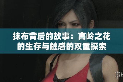 抹布背后的故事：高岭之花的生存与触感的双重探索
