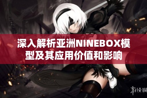 深入解析亚洲NINEBOX模型及其应用价值和影响