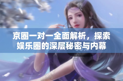 京圈一对一全面解析，探索娱乐圈的深层秘密与内幕