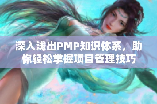 深入浅出PMP知识体系，助你轻松掌握项目管理技巧