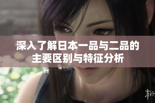 深入了解日本一品与二品的主要区别与特征分析