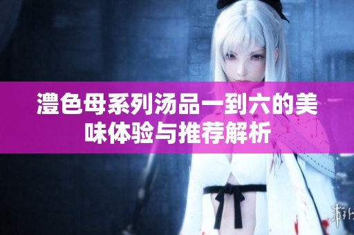 澧色母系列汤品一到六的美味体验与推荐解析