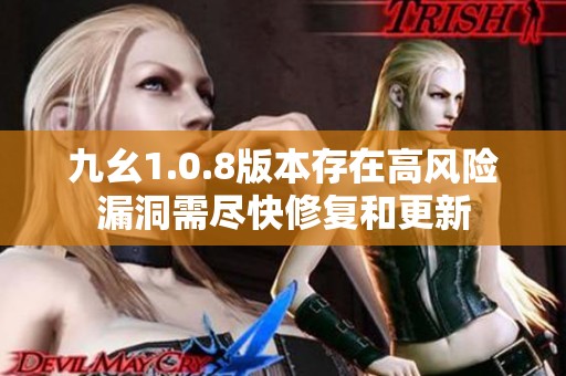 九幺1.0.8版本存在高风险漏洞需尽快修复和更新