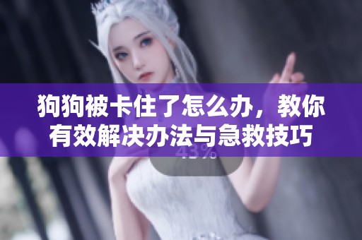 狗狗被卡住了怎么办，教你有效解决办法与急救技巧