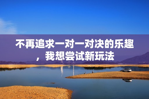 不再追求一对一对决的乐趣，我想尝试新玩法