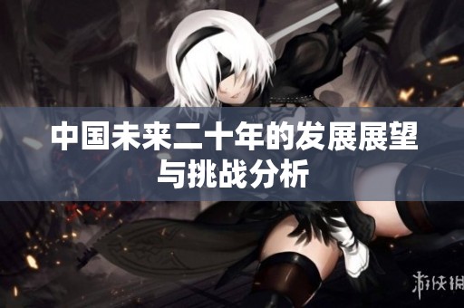 中国未来二十年的发展展望与挑战分析