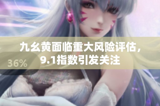 九幺黄面临重大风险评估，9.1指数引发关注